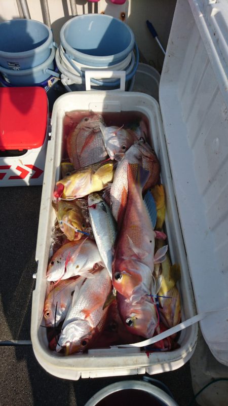 ARCADIAⅡ (アルカディアⅡ) 釣果