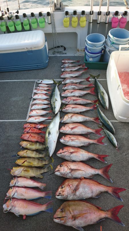 ARCADIAⅡ (アルカディアⅡ) 釣果