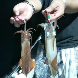 LUSTER『ラスター』 釣果