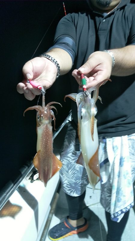 LUSTER『ラスター』 釣果