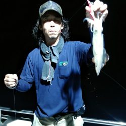 LUSTER『ラスター』 釣果