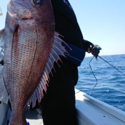 だて丸 釣果