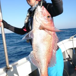 だて丸 釣果