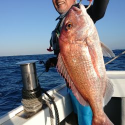 だて丸 釣果