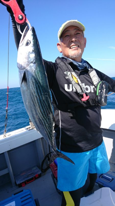 だて丸 釣果