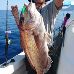 ARCADIAⅡ (アルカディアⅡ) 釣果