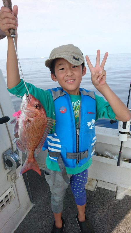 ARCADIAⅡ (アルカディアⅡ) 釣果