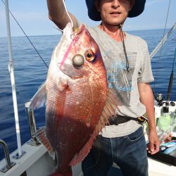 ARCADIAⅡ (アルカディアⅡ) 釣果