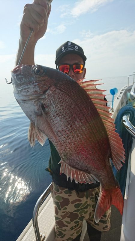 ARCADIAⅡ (アルカディアⅡ) 釣果