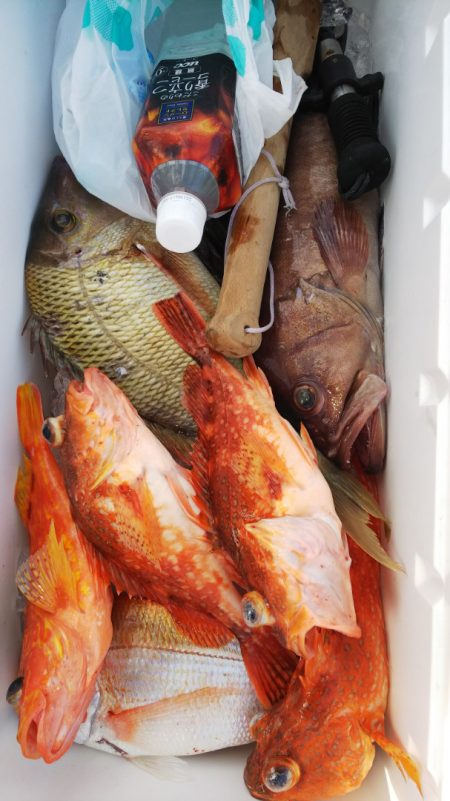 第二龍勢丸 釣果