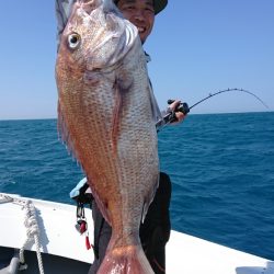 だて丸 釣果