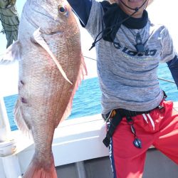 だて丸 釣果