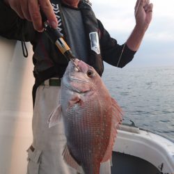 海皇丸 釣果