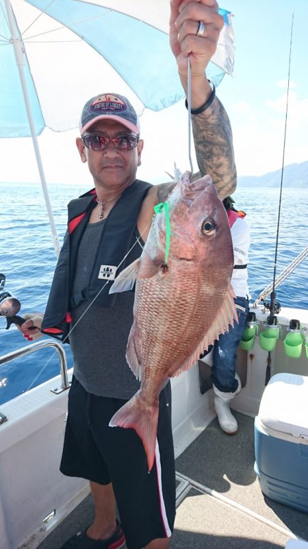 ARCADIAⅡ (アルカディアⅡ) 釣果