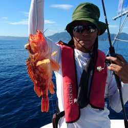 ARCADIAⅡ (アルカディアⅡ) 釣果