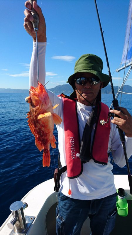 ARCADIAⅡ (アルカディアⅡ) 釣果