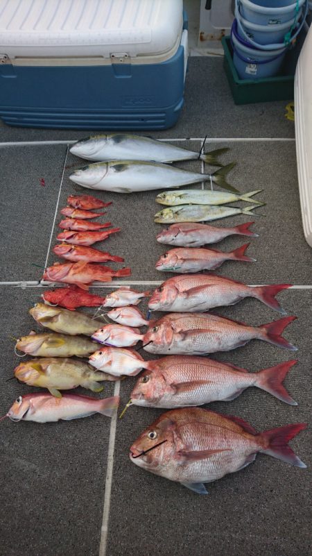 ARCADIAⅡ (アルカディアⅡ) 釣果