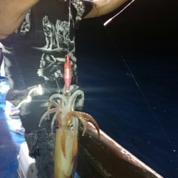 海龍丸（石川） 釣果