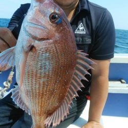 新幸丸 釣果