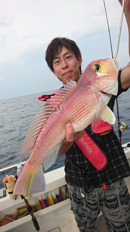 ARCADIAⅡ (アルカディアⅡ) 釣果