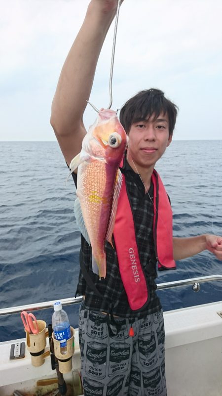 ARCADIAⅡ (アルカディアⅡ) 釣果