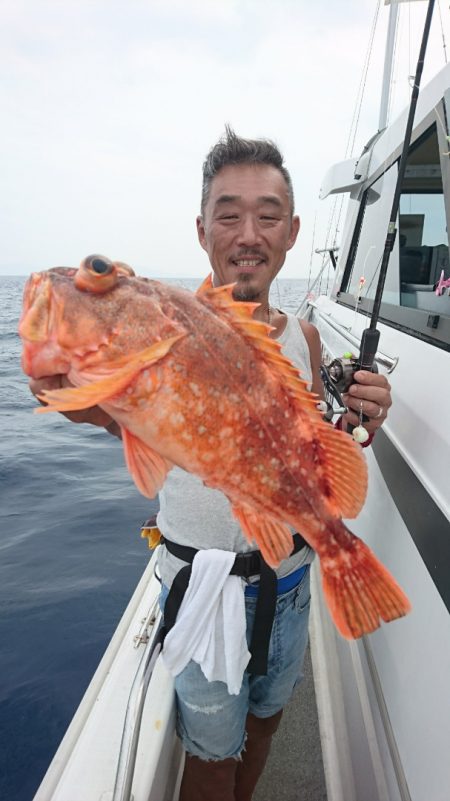 ARCADIAⅡ (アルカディアⅡ) 釣果