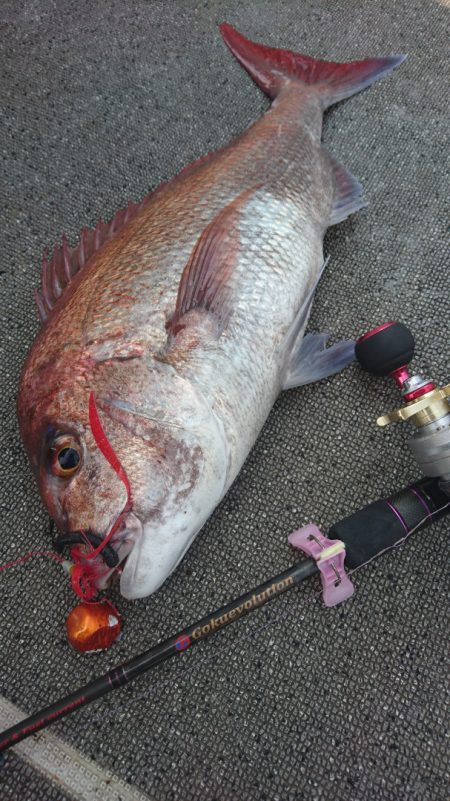 ARCADIAⅡ (アルカディアⅡ) 釣果