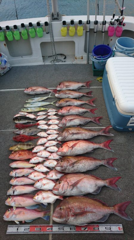 ARCADIAⅡ （アルカディアⅡ） 釣果…