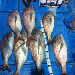 海龍丸(石川) 釣果