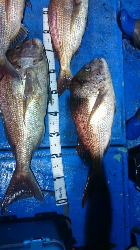 海龍丸(石川) 釣果