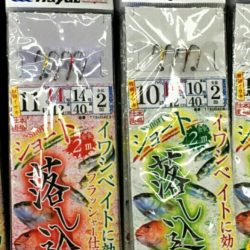 ブルースフィッシングサービス 釣果