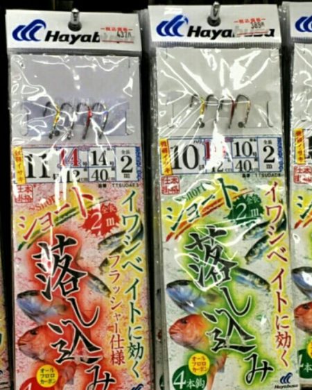 ブルースフィッシングサービス 釣果