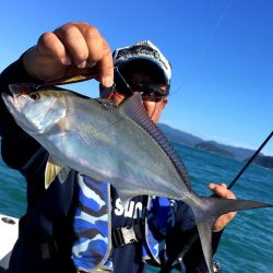 渡船屋たにぐち 釣果