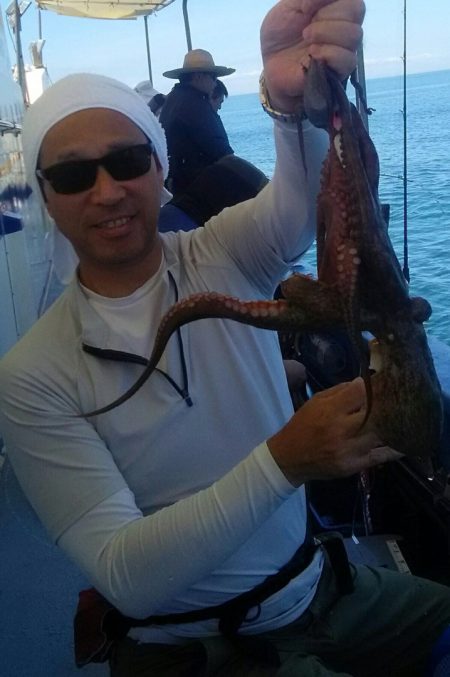 ヤザワ渡船 釣果