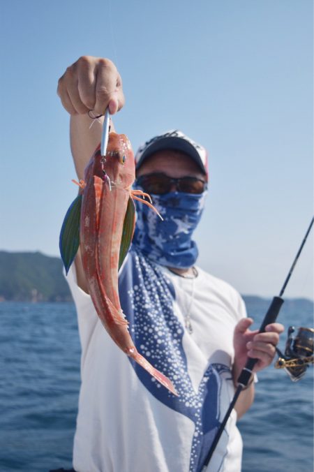 渡船屋たにぐち 釣果