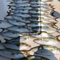 ビッグファイター 釣果