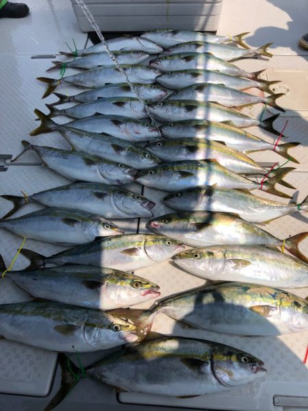 ビッグファイター 釣果