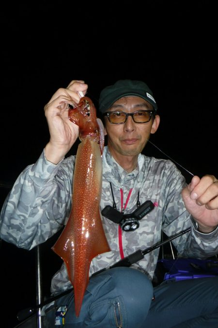 ブルースフィッシングサービス 釣果