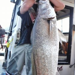 ブルースフィッシングサービス 釣果