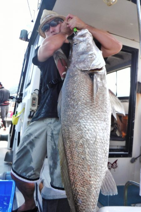 ブルースフィッシングサービス 釣果