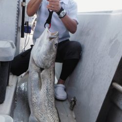 ブルースフィッシングサービス 釣果