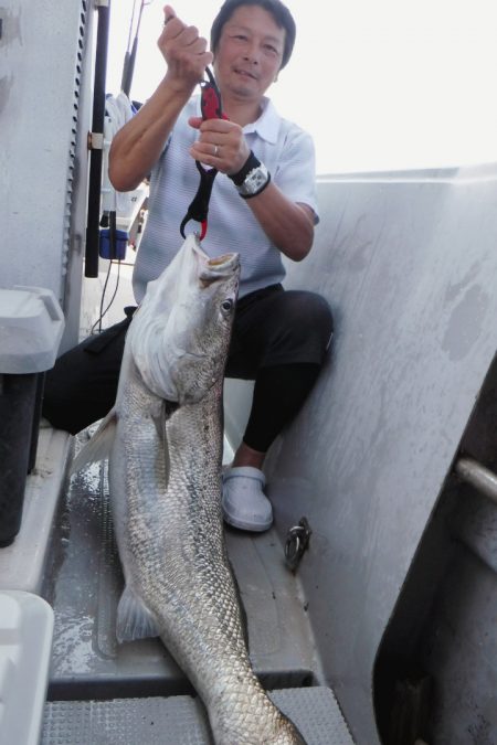 ブルースフィッシングサービス 釣果