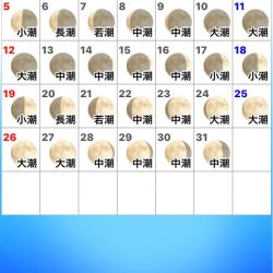 龍神丸(鹿児島) 釣果