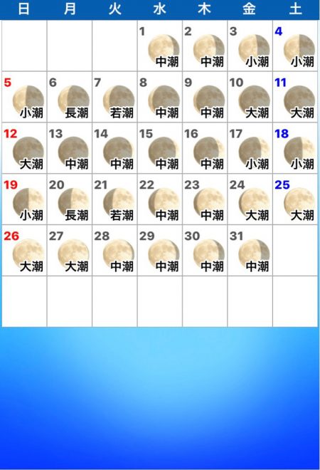 龍神丸(鹿児島) 釣果