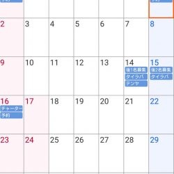 遊漁船 家入 釣果