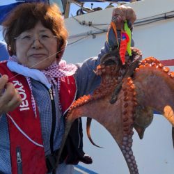 ヤザワ渡船 釣果