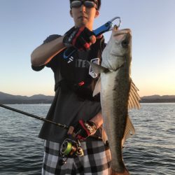 アマテラス 釣果