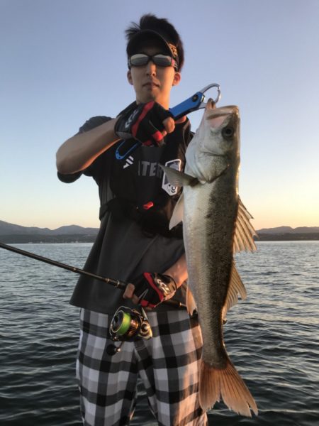 アマテラス 釣果