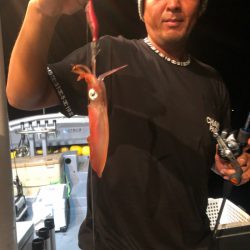 ＴＡＲＯＭＡＲＵ 釣果