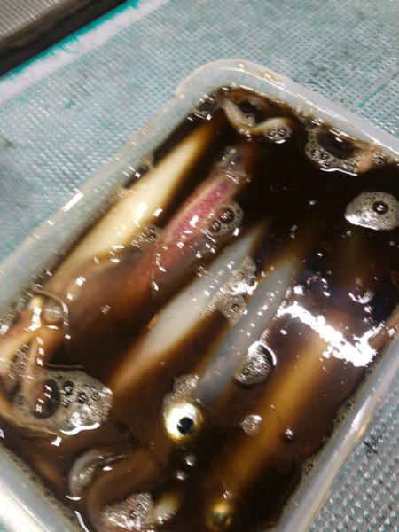 ＴＡＲＯＭＡＲＵ 釣果